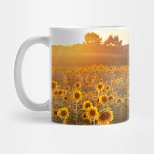 Sunflower field with a setting sun Mug